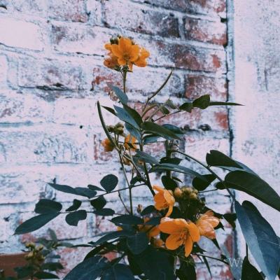 赢三张免费游戏手机app下载